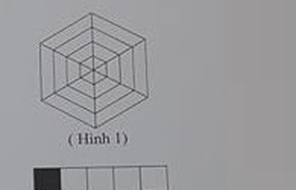 Hình 1: 4 hình lục giác đều đồng tâm, các đỉnh tương ứng nối với nhau tạo hiệu ứng đường hầm/khối lập phương, 3 đường chéo chính đi qua tâm
