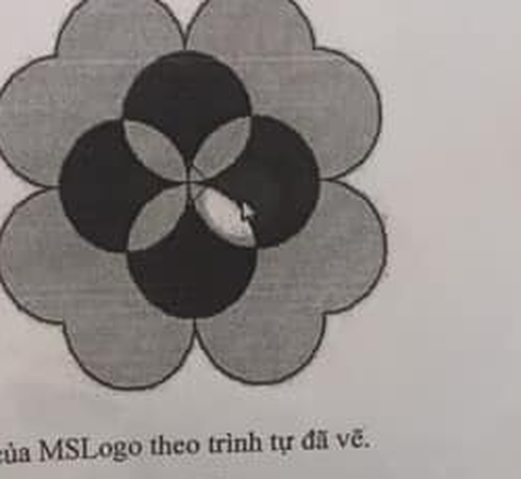 Logo hoa phượng: hoa văn tạo bởi 4 hình tròn lớn chồng lấn theo hình chữ thập tạo 4 cánh hoa ngoài (vàng viền hồng), phần chồng lấn giữa các hình tròn tạo 4 vùng cánh hoa giữa tô đỏ, vùng giao trung tâm tô vàng