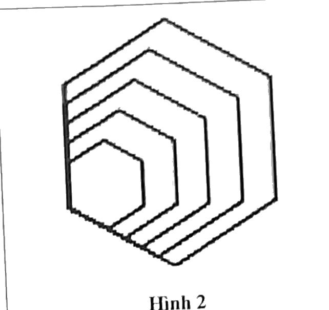 Hình 2: năm hình lục giác đều lồng nhau, nhỏ dần, cùng chung đỉnh dưới bên trái; cạnh bên trái của các hình nằm trên cùng một đường thẳng đứng